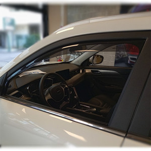Farad Wind Deflectors for...